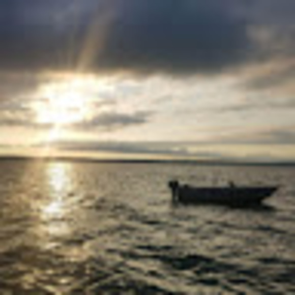 Meet your Posher, Steph - Picture 1 of 1